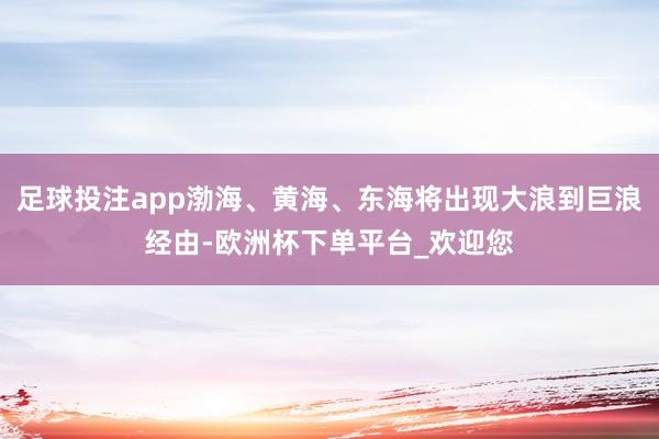 足球投注app渤海、黄海、东海将出现大浪到巨浪经由-欧洲杯下单平台_欢迎您