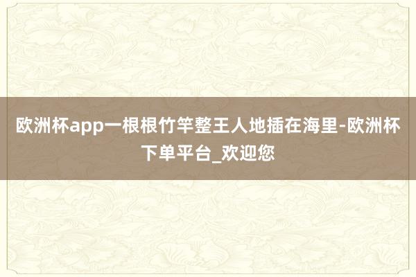 欧洲杯app一根根竹竿整王人地插在海里-欧洲杯下单平台_欢迎您