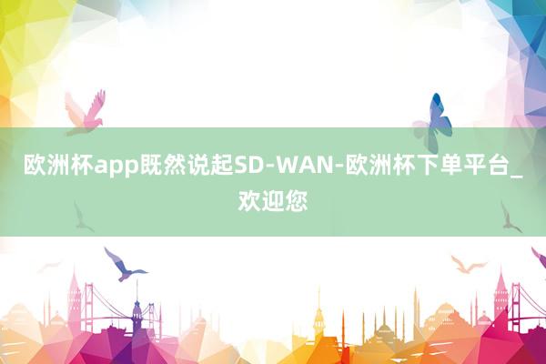 欧洲杯app既然说起SD-WAN-欧洲杯下单平台_欢迎您