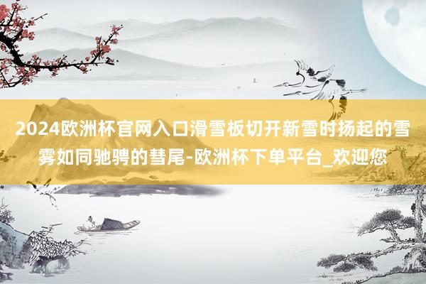 2024欧洲杯官网入口滑雪板切开新雪时扬起的雪雾如同驰骋的彗尾-欧洲杯下单平台_欢迎您