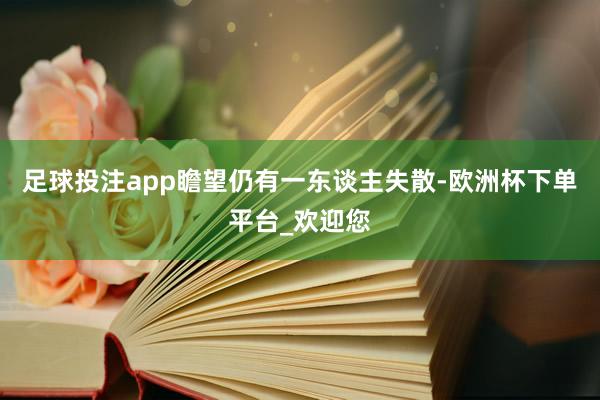 足球投注app瞻望仍有一东谈主失散-欧洲杯下单平台_欢迎您