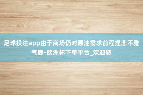足球投注app由于商场仍对原油需求前程捏悲不雅气魄-欧洲杯下单平台_欢迎您