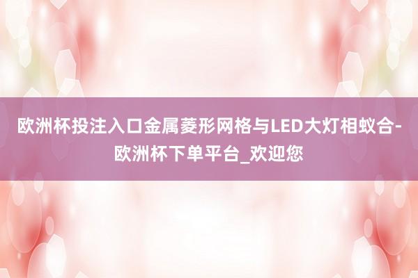 欧洲杯投注入口金属菱形网格与LED大灯相蚁合-欧洲杯下单平台_欢迎您