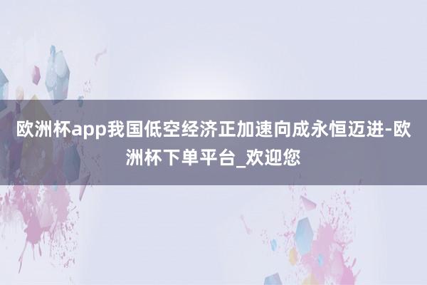 欧洲杯app我国低空经济正加速向成永恒迈进-欧洲杯下单平台_欢迎您