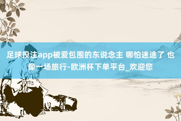 足球投注app被爱包围的东说念主 哪怕迷途了 也像一场旅行-欧洲杯下单平台_欢迎您