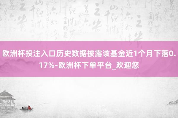 欧洲杯投注入口历史数据披露该基金近1个月下落0.17%-欧洲杯下单平台_欢迎您