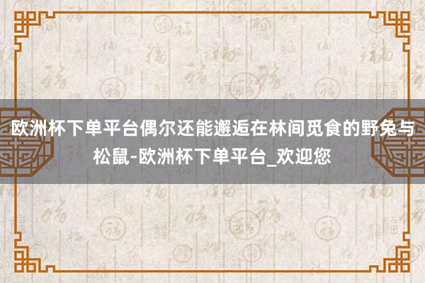 欧洲杯下单平台偶尔还能邂逅在林间觅食的野兔与松鼠-欧洲杯下单平台_欢迎您