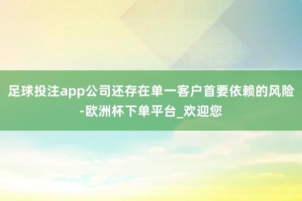 足球投注app公司还存在单一客户首要依赖的风险-欧洲杯下单平台_欢迎您