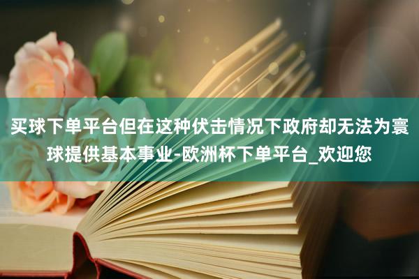 买球下单平台但在这种伏击情况下政府却无法为寰球提供基本事业-欧洲杯下单平台_欢迎您