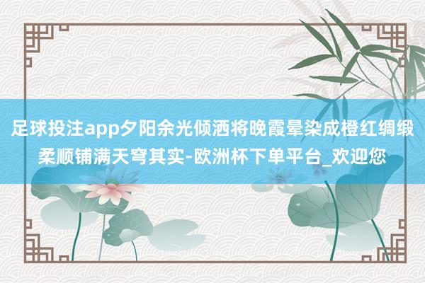 足球投注app夕阳余光倾洒将晚霞晕染成橙红绸缎柔顺铺满天穹其实-欧洲杯下单平台_欢迎您