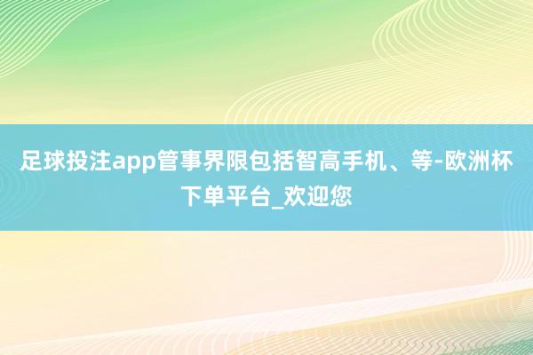 足球投注app管事界限包括智高手机、等-欧洲杯下单平台_欢迎您