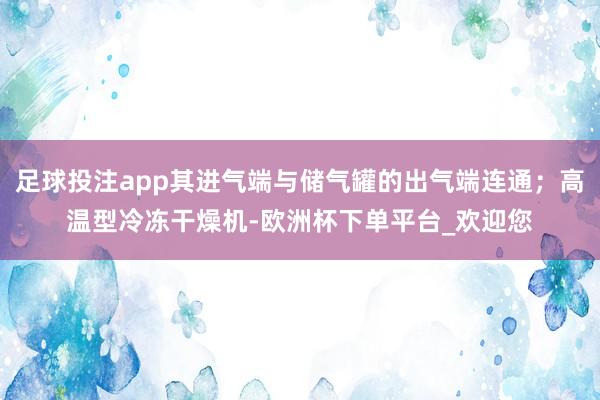 足球投注app其进气端与储气罐的出气端连通；高温型冷冻干燥机-欧洲杯下单平台_欢迎您