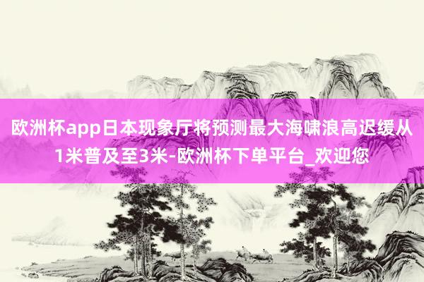 欧洲杯app日本现象厅将预测最大海啸浪高迟缓从1米普及至3米-欧洲杯下单平台_欢迎您