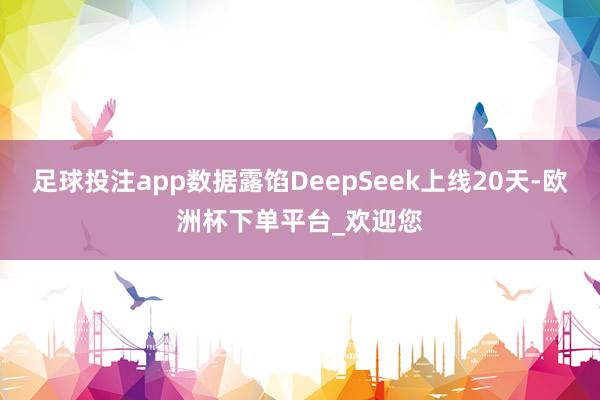 足球投注app数据露馅DeepSeek上线20天-欧洲杯下单平台_欢迎您
