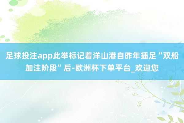 足球投注app此举标记着洋山港自昨年插足“双船加注阶段”后-欧洲杯下单平台_欢迎您