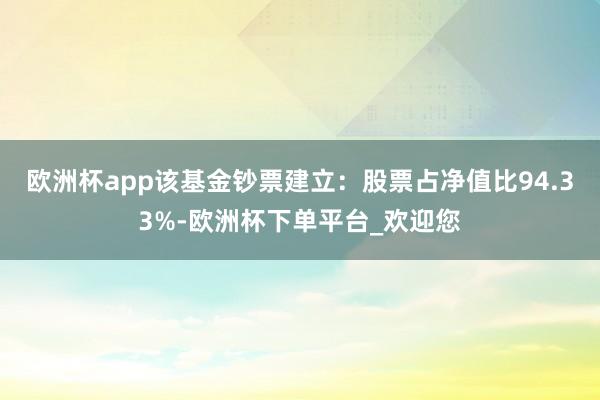 欧洲杯app该基金钞票建立：股票占净值比94.33%-欧洲杯下单平台_欢迎您