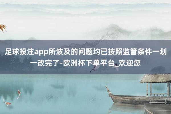 足球投注app所波及的问题均已按照监管条件一划一改完了-欧洲杯下单平台_欢迎您