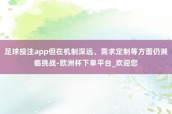 足球投注app但在机制深远、需求定制等方面仍濒临挑战-欧洲杯下单平台_欢迎您