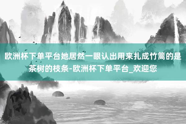 欧洲杯下单平台她居然一眼认出用来扎成竹篱的是茶树的枝条-欧洲杯下单平台_欢迎您