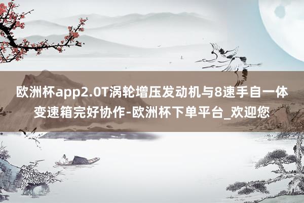 欧洲杯app2.0T涡轮增压发动机与8速手自一体变速箱完好协作-欧洲杯下单平台_欢迎您