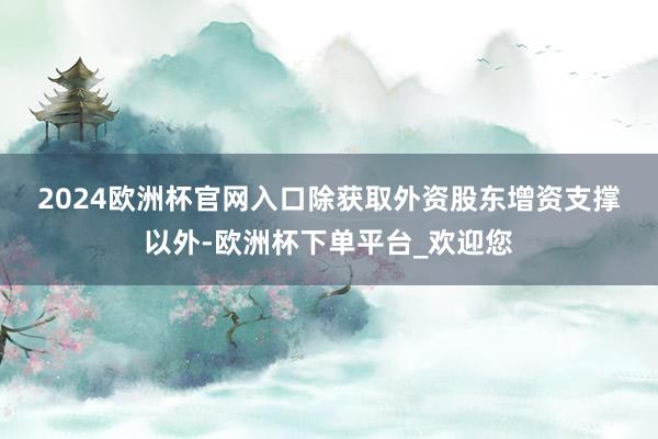 2024欧洲杯官网入口　　除获取外资股东增资支撑以外-欧洲杯下单平台_欢迎您