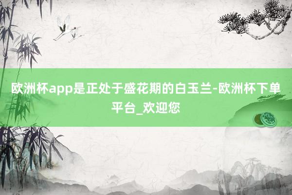欧洲杯app是正处于盛花期的白玉兰-欧洲杯下单平台_欢迎您