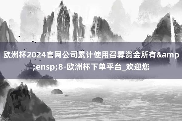 欧洲杯2024官网公司累计使用召募资金所有&ensp;8-欧洲杯下单平台_欢迎您