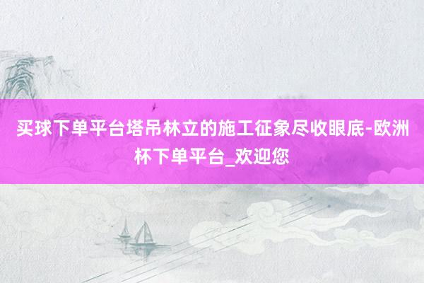 买球下单平台塔吊林立的施工征象尽收眼底-欧洲杯下单平台_欢迎您