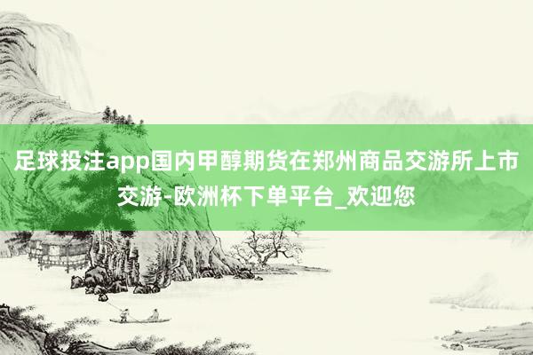 足球投注app国内甲醇期货在郑州商品交游所上市交游-欧洲杯下单平台_欢迎您