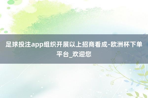 足球投注app组织开展以上招商看成-欧洲杯下单平台_欢迎您