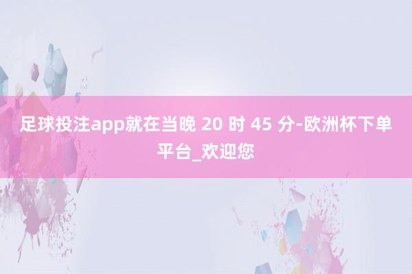 足球投注app就在当晚 20 时 45 分-欧洲杯下单平台_欢迎您