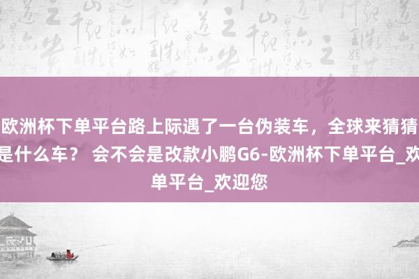 欧洲杯下单平台路上际遇了一台伪装车，全球来猜猜这会是什么车？ 会不会是改款小鹏G6-欧洲杯下单平台_欢迎您