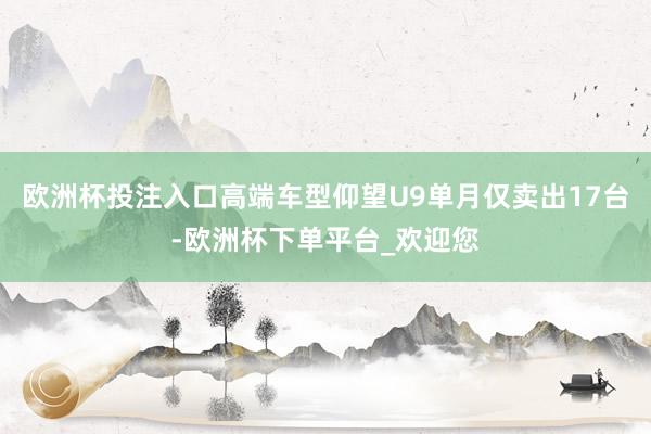 欧洲杯投注入口高端车型仰望U9单月仅卖出17台-欧洲杯下单平台_欢迎您