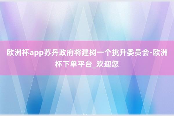 欧洲杯app苏丹政府将建树一个挑升委员会-欧洲杯下单平台_欢迎您