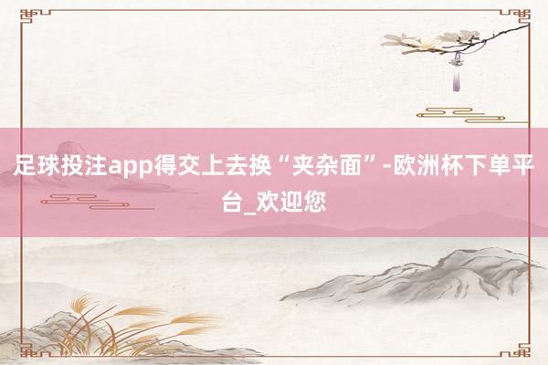 足球投注app得交上去换“夹杂面”-欧洲杯下单平台_欢迎您