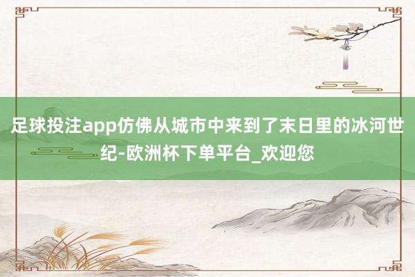 足球投注app仿佛从城市中来到了末日里的冰河世纪-欧洲杯下单平台_欢迎您