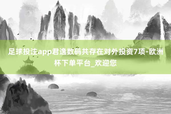 足球投注app君逸数码共存在对外投资7项-欧洲杯下单平台_欢迎您