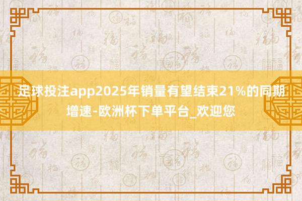 足球投注app2025年销量有望结束21%的同期增速-欧洲杯下单平台_欢迎您